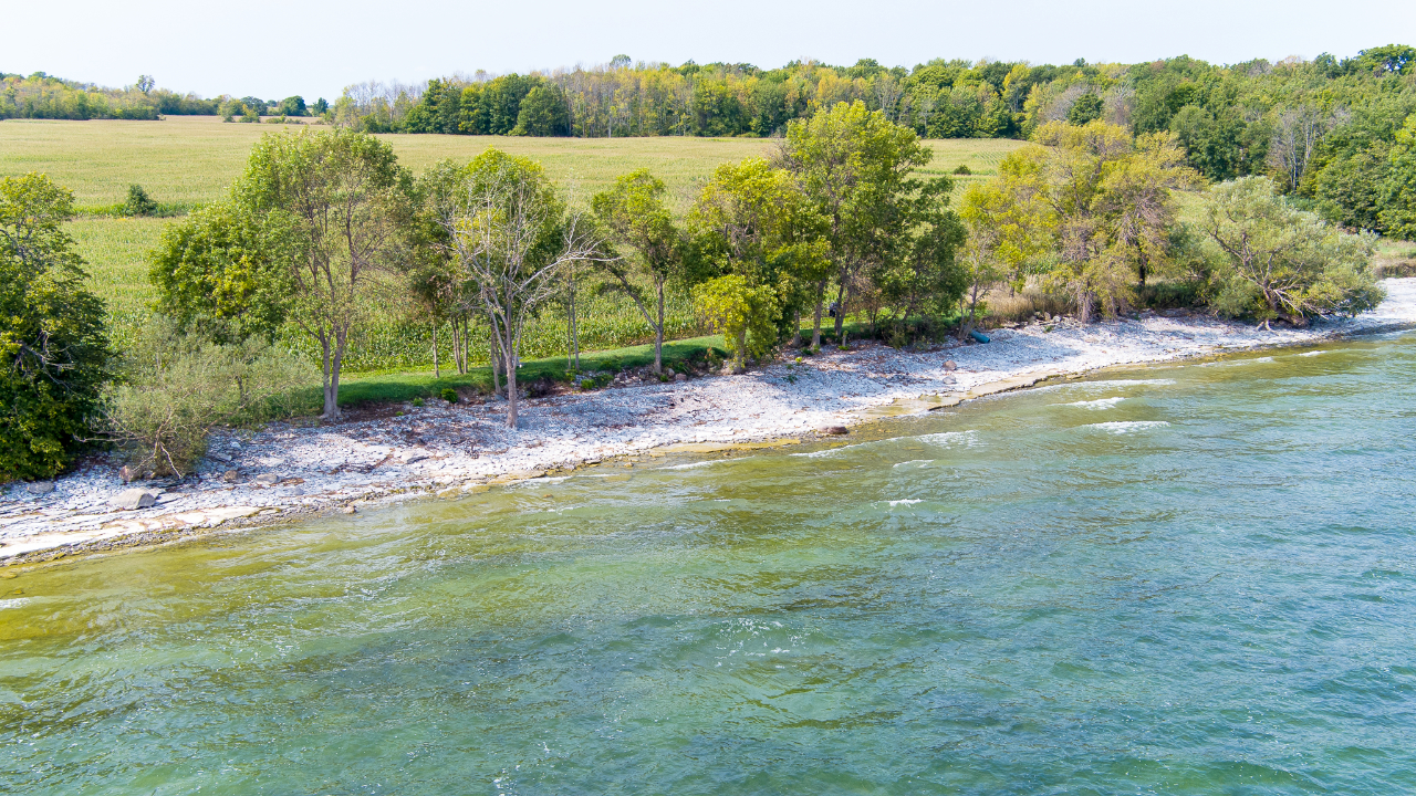 Dream Waterfront PEC